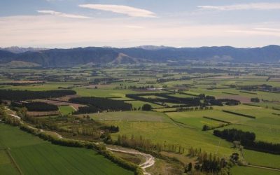 The State of the Canterbury Food and Fibre Sector, 2020